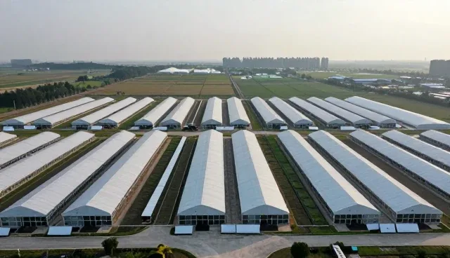 智能手表性能表现与适用场景的深度分析